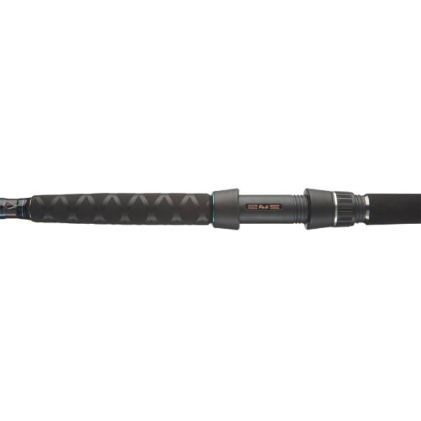 Daiwa Powermesh Wels Rute 300/325 cm 150-500 g