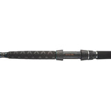Daiwa Powermesh Wels Rute 300/325 cm 150-500 g