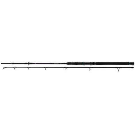 Daiwa Powermesh Wels Bootsrute 100-400 g