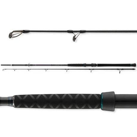 Daiwa Powermesh Wels Bootsrute 100-400 g