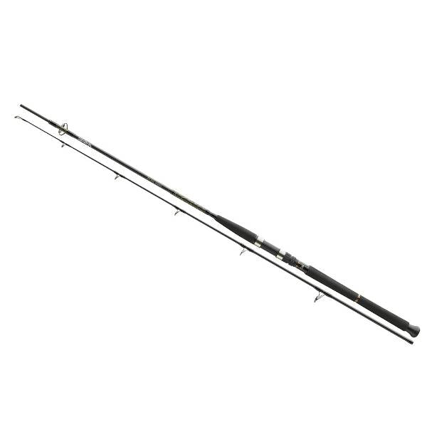 BG Pilk Rute 2,40m 40-100g