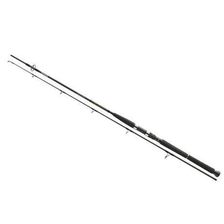 BG Pilk Rute 2,40m 40-100g