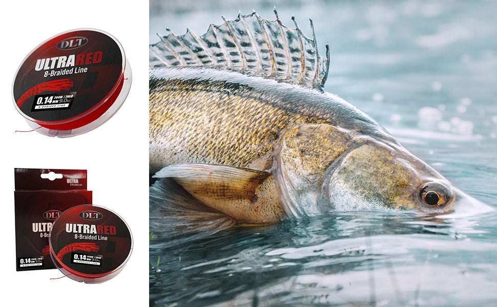 DLT Pursuit Spinnruten-Set – Rute, Rolle & geflochtene Schnur