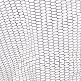 DLT Rubber Predator Kompakt – Teleskop-Kescher