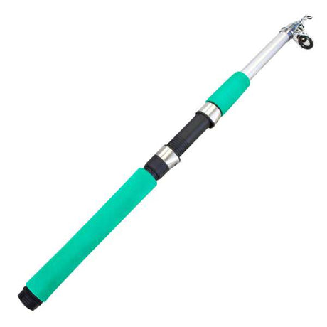 Domane Allround Teleskoprute JP 210