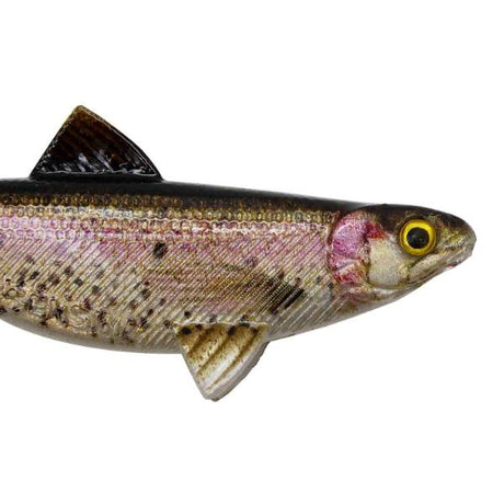 Senshu Real Fin Shad 8 Mixpack 8cm 11g 4 Stück