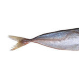 Prebaits Stöcker 15-22cm | Toter Köder