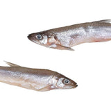 Prebaits Spiering Groß | Toter Köder