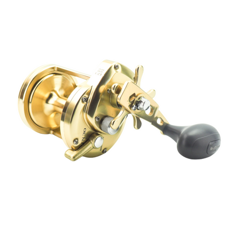 Shimano Trinidad 30 Big Game Angelrolle