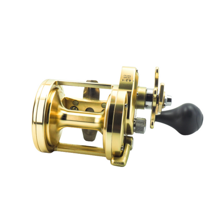 Shimano Trinidad 30 Big Game Angelrolle