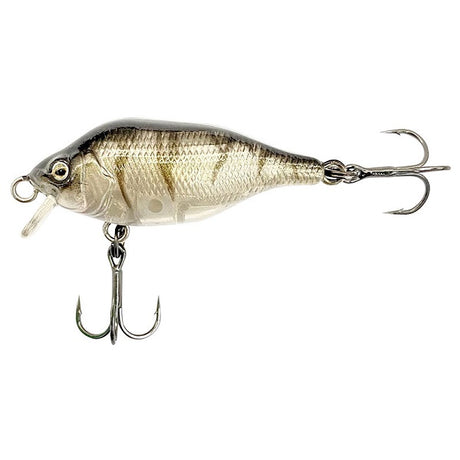 Fox Rage Funk Bug 40mm SR | Wobbler