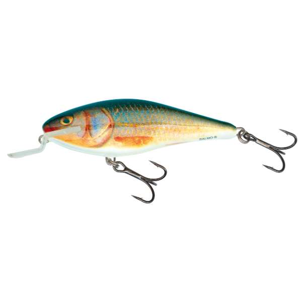 Salmo Executor Shallow Runner | Wobbler Real Roach - 12cm
