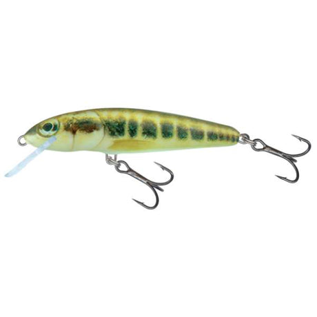 Salmo Minnow Floating | Wobbler Silver - 5cm