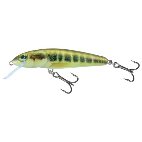 Salmo Minnow Floating | Wobbler Silver - 7cm