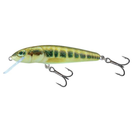 Salmo Minnow Floating | Wobbler Silver - 7cm
