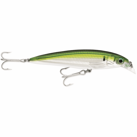 Rapala X-Rap Saltwater 10cm - Pilchard (PLD)