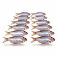 Prebaits Plötze/Kolblei Klein | Toter Köder