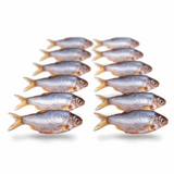 Prebaits Plötze/Kolblei Klein | Toter Köder