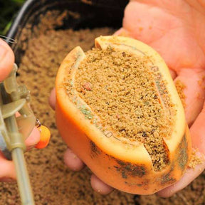 Guru X-Press-Methodenform