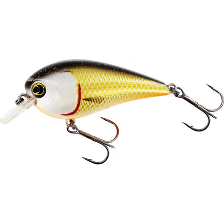 Westin Bassbite 2.5 Squarebill 7cm – Floating Crankbait für Raubfische