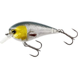 Westin Bassbite 2.5 Squarebill 7cm – Floating Crankbait für Raubfische