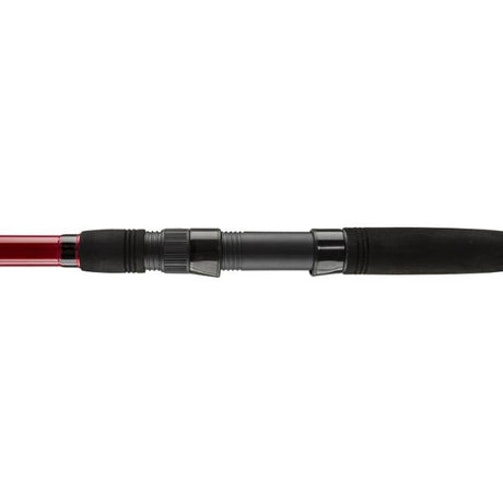 Penn Squadron II Surf 423 Brandungsrute 100-250g