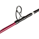 Penn Squadron II Labrax Shore 242 Spinnrute 20-50g