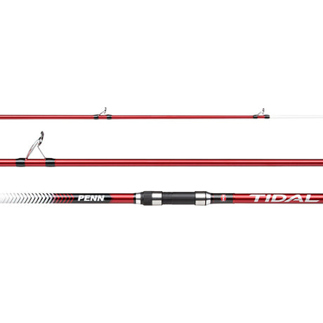 Penn Tidal XR Brandungsrute 423 100-300g