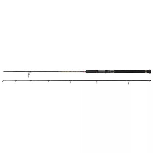 Penn Regiment III Spin & Pilk 802 100-250g
