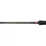 Penn Regiment III Spin & Pilk 802 100-250g