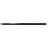 PENN Fierce IV Spin Combo 2,72m 20-80g & 4000 Rolle