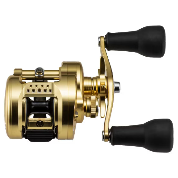 Shimano Calcutta Conquest MD 301 XG - Linkshandig