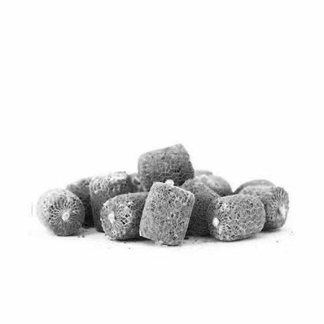 Pro Line V-Activator PVA Bombs