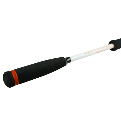 DLT Blackwater Dropshot Rute 2,70m 7-32g