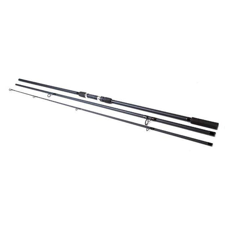 X2 Karpfenruten-Set – Rute + Rolle + Angelschnur