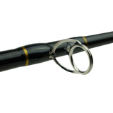 FISH-XPRO Baitcasting Combo Raubfisch-Set 1,95m
