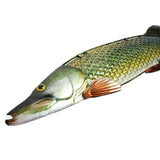 Eurocatch Hecht- und Barsch-Wanddekor-Set – 90 cm 3D-Metall & Glas