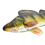 Eurocatch Barsch Wanddekor-Set 3-teilig – 3D Metall & Glas 40 cm