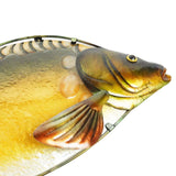 Eurocatch Spiegelkarpfen 80cm 3D Metall & Glas Kunst