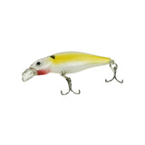 FishXpro Forellenköder Set – Spoon, Spinner & Softbaits