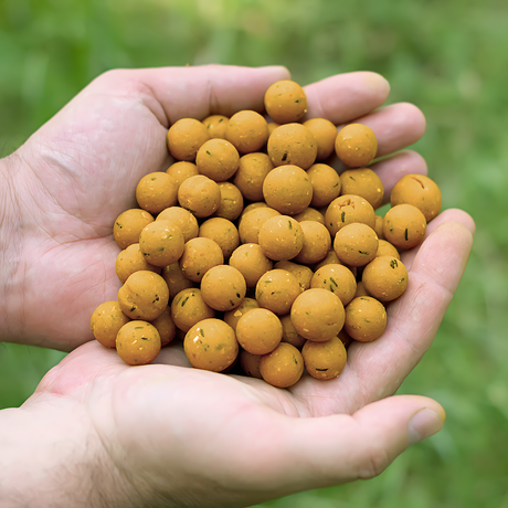 Tasty Baits Mango Cream Boilies 20mm 10kg