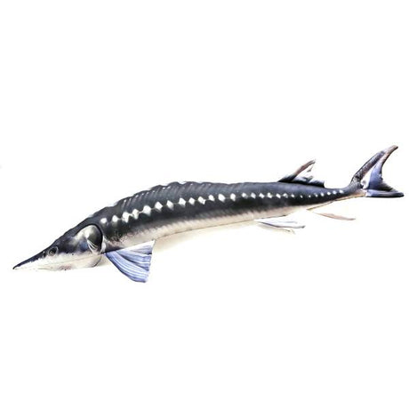Gaby Europäischer Stör Kissen 125cm