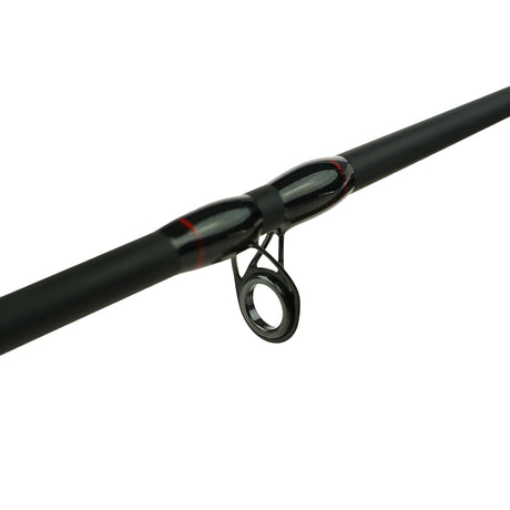 Eurocatch Leader Baitcasting Rute 2,10m 10-40g