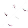 Eurocatch Sea Rig Feathered Sandeels, Haken Gr. 1 (5 Stk.)
