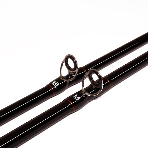 X2 Terminator X Baitcast-Rute