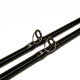 X2 Terminator X Baitcast-Rute