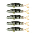 Fishdream Softbaits Pro XL – Baitblaze (5 Stk.)