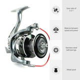 DLT Allround-Casting-Ruten-Set
