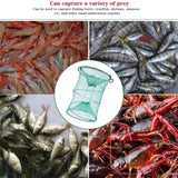 Eurocatch Faltbare Krebsfalle 55x25x25cm – Reuse für Krebse & Köderfische