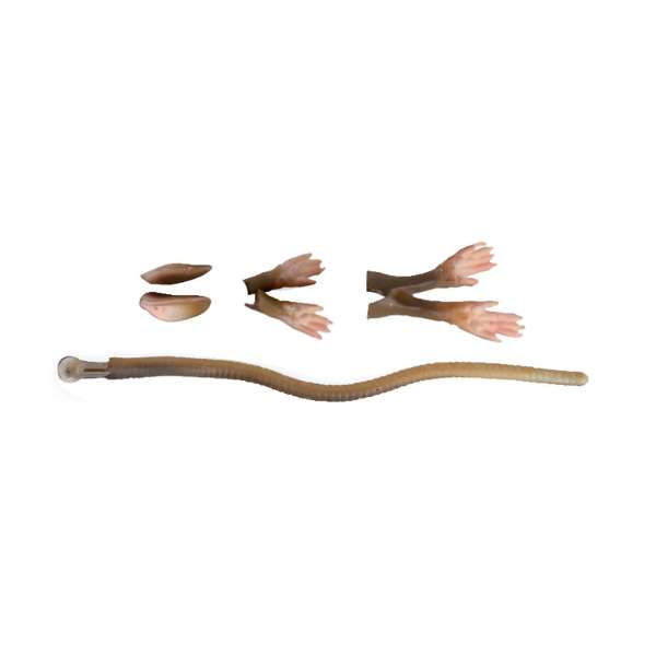 Savage Gear 3D Ratten-Wartungsset 30cm Braun